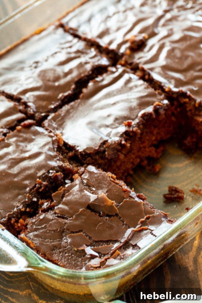 Close-up of Cheerwine Chocolate Cake, showcasing the rich, glossy chocolate glaze and moist cake texture.