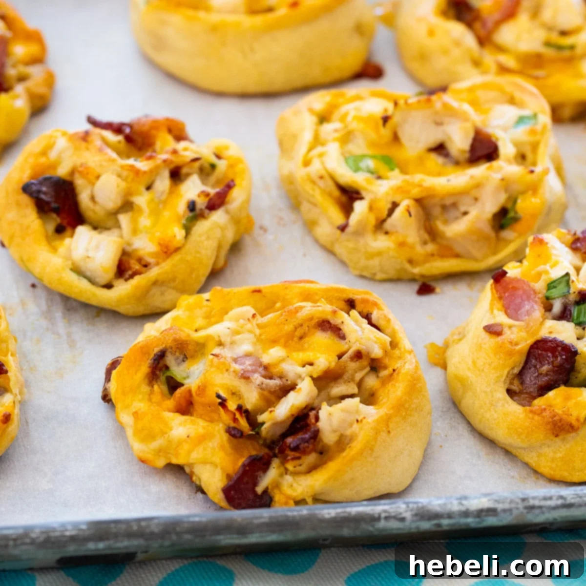 Golden brown Ranch Chicken Roll-Ups with bacon on a baking sheet, fresh out of the oven.