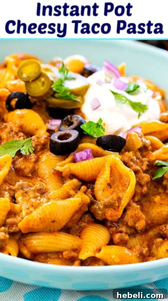 A final vibrant shot of Instant Pot Cheesy Taco Pasta, highlighting its rich color, inviting texture, and overall appeal as a quick, satisfying meal.