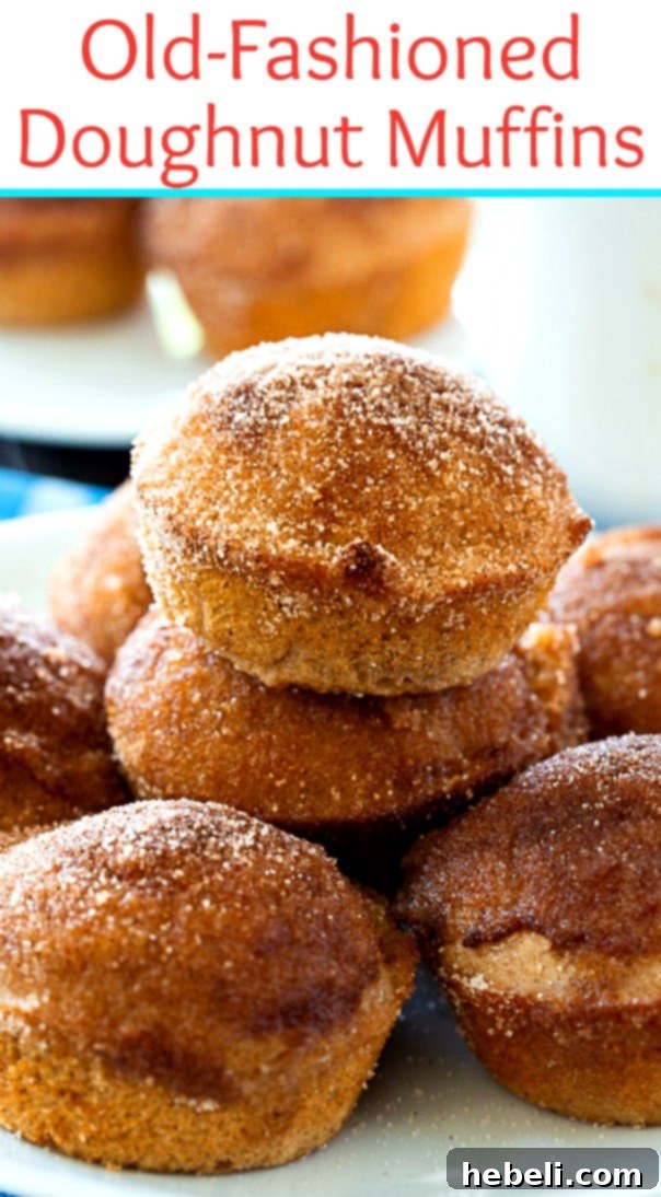 Plate of Old-Fashioned Doughnut Muffins, beautifully coated in cinnamon-sugar, ready for serving.