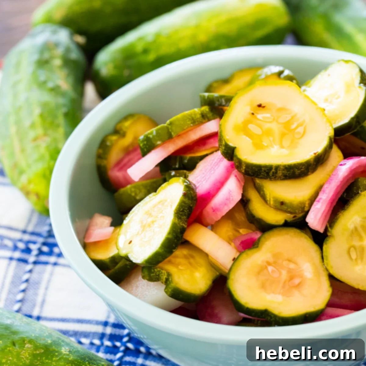 Vibrantly colored pickled cucumber and onion slices in a blue serving bowl, ready to be enjoyed.