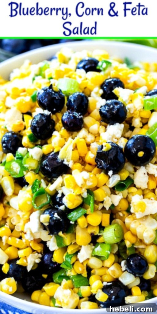 Vibrant Blueberry Corn Feta Salad 7 Beautifully plated Blueberry, Corn & Feta Salad, ready for serving, emphasizing its fresh and vibrant appeal.