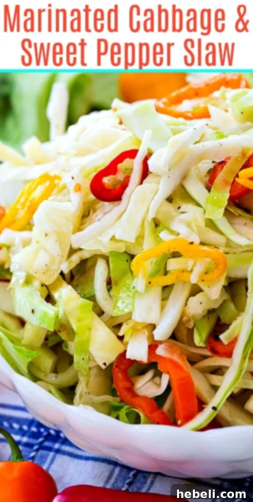 Tangy Cabbage and Bell Pepper Slaw 6 A close-up shot of the finished Marinated Cabbage Slaw in a bowl, highlighting its fresh and inviting appearance, perfect for a picnic or gathering.
