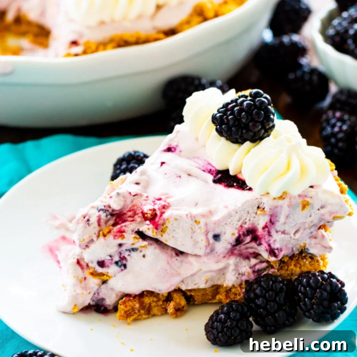 No-Bake Blackberry Cheesecake Delight 2 Slice of Blackberry Cheesecake Icebox Pie on a plate with fresh blackberries.