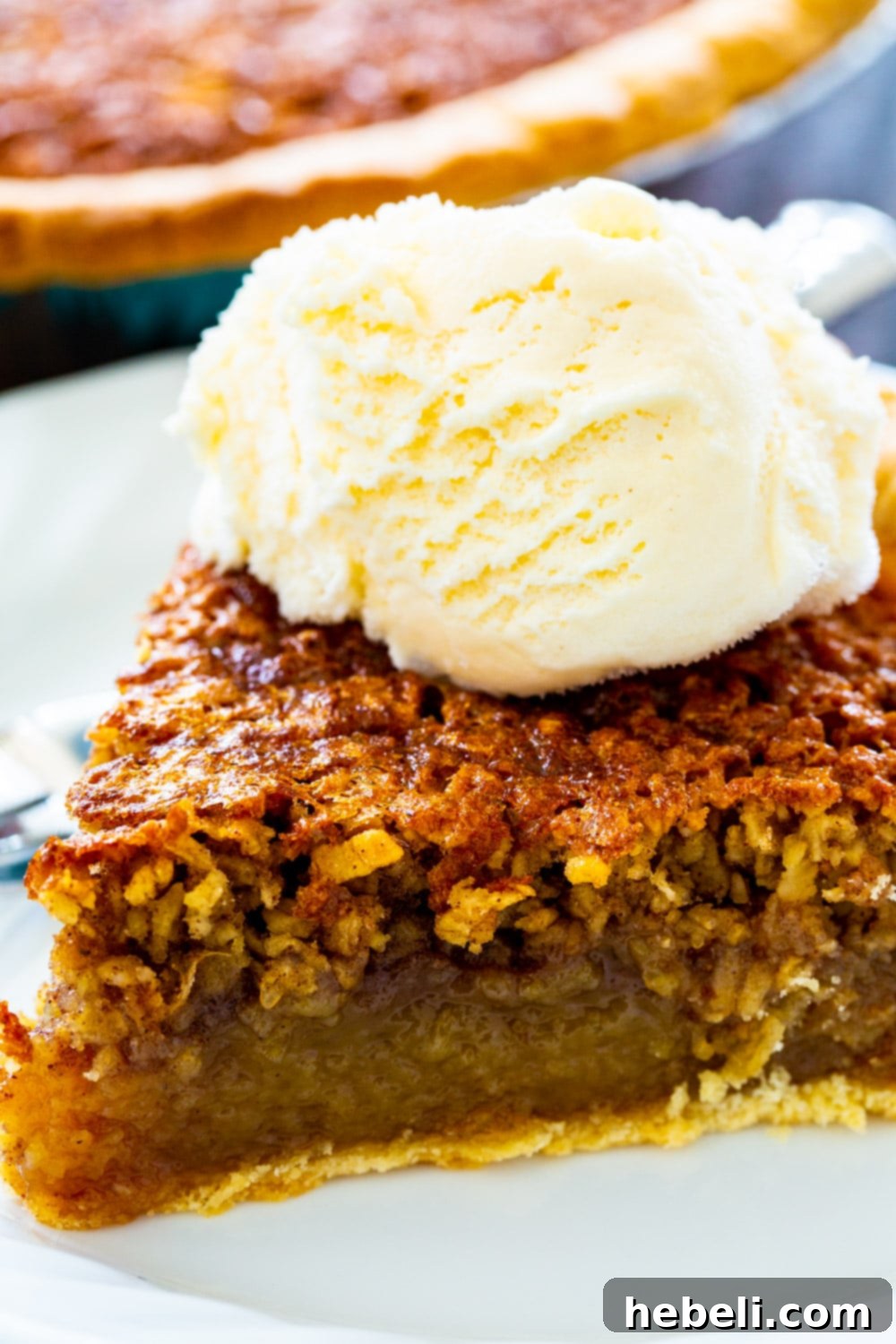 Close-up detailed view of Old-Fashioned Oatmeal Pie showing the beautiful golden brown top and the rich, oat-filled interior.