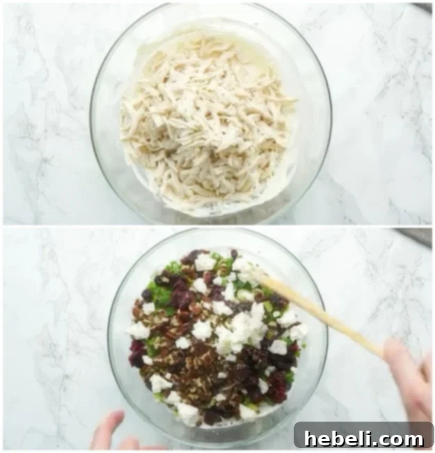 Stirring in shredded chicken, finely chopped celery, fresh green onion, sweet dried cranberries, crunchy pecans, and tangy feta cheese into the creamy base.