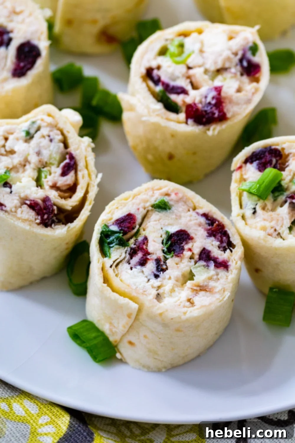 Close-up of perfectly sliced Chicken Cranberry Pinwheels on a plate, highlighting the creamy filling, vibrant cranberries, and nutty pecans.