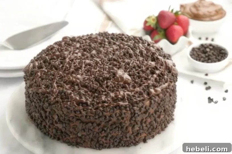 The full, majestic view of the Ultimate Death By Chocolate Cake on a white serving platter, exquisitely frosted and adorned with a shiny chocolate drizzle.