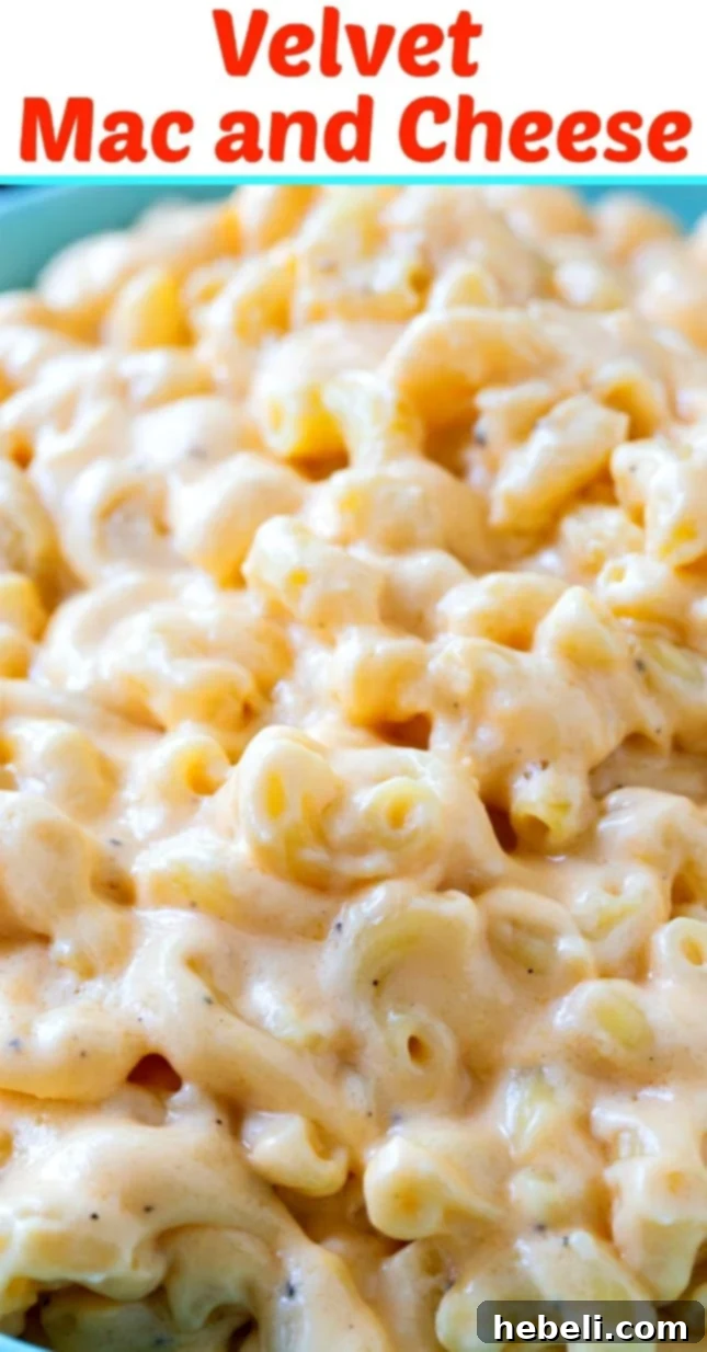 Velvet Mac and Cheese 5 A large serving of Velvet Mac and Cheese, ready to be enjoyed.