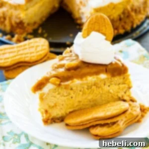 A perfectly portioned slice of Peanut Butter Cheesecake, ready for serving.