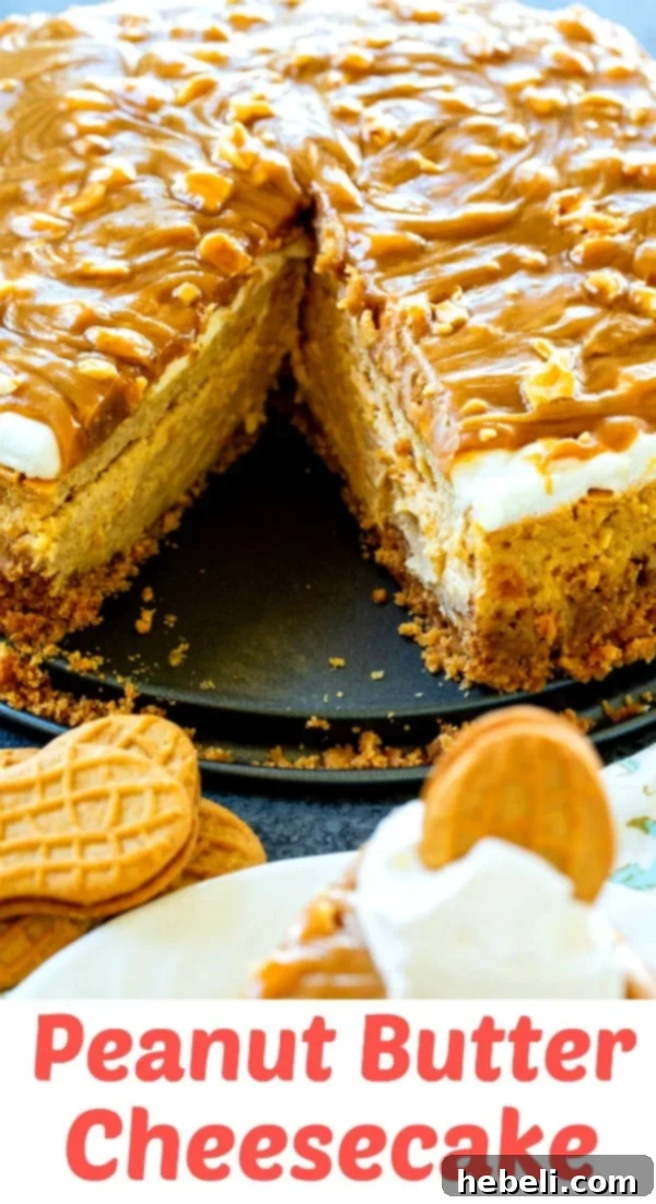 Decadent Peanut Butter Cheesecake 7 Close-up of a generous slice of Peanut Butter Cheesecake topped with glossy peanut butter glaze and chopped peanuts, ready for a taste.