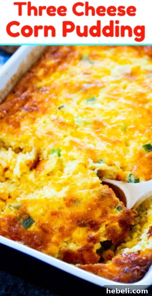A top-down shot of a large dish of Three Cheese Corn Pudding, garnished with fresh green onions.
