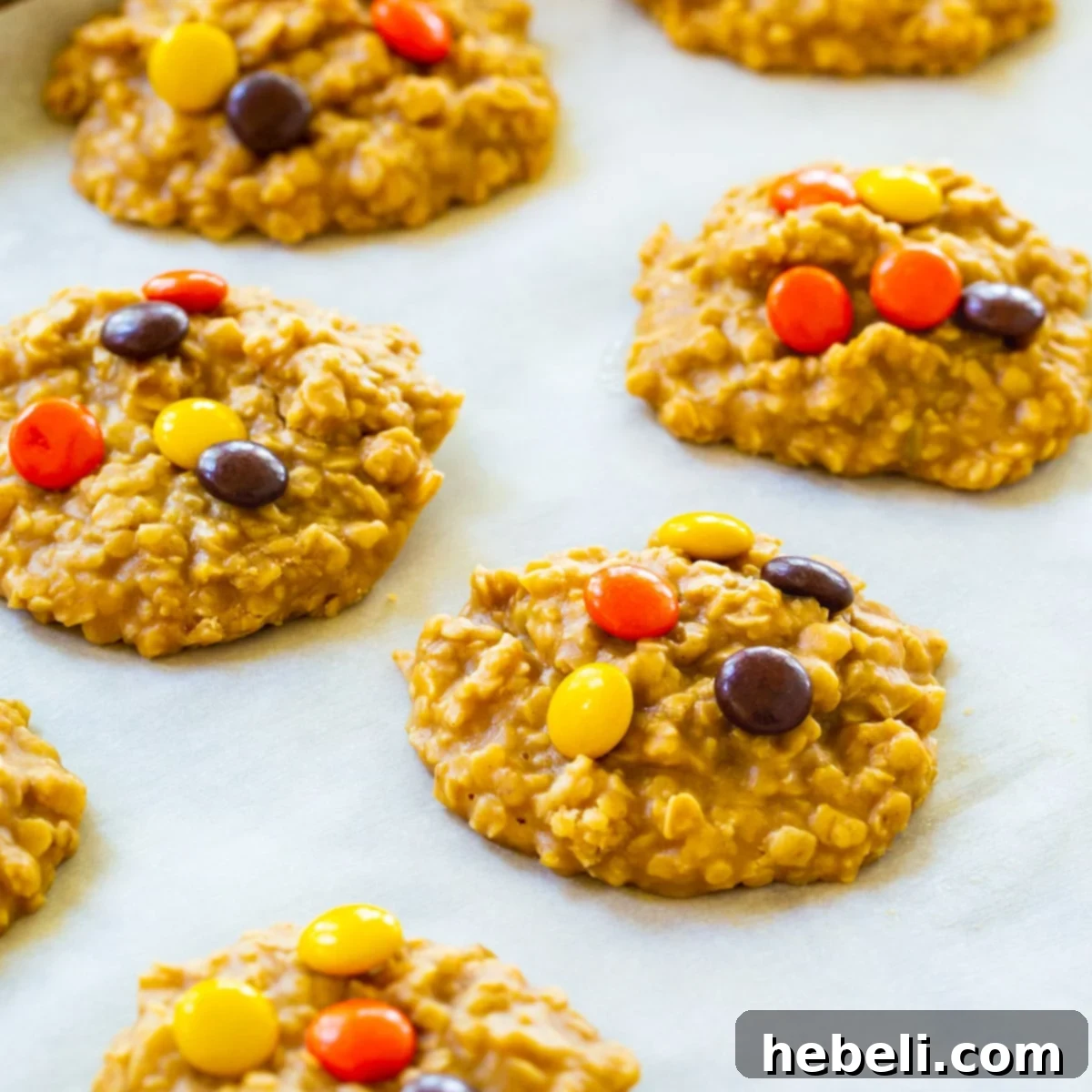 Peanut Butter Oat Energy Bites 2 Delicious No-Bake Peanut Butter Oatmeal Cookies freshly prepared on parchment paper, ready to be enjoyed.