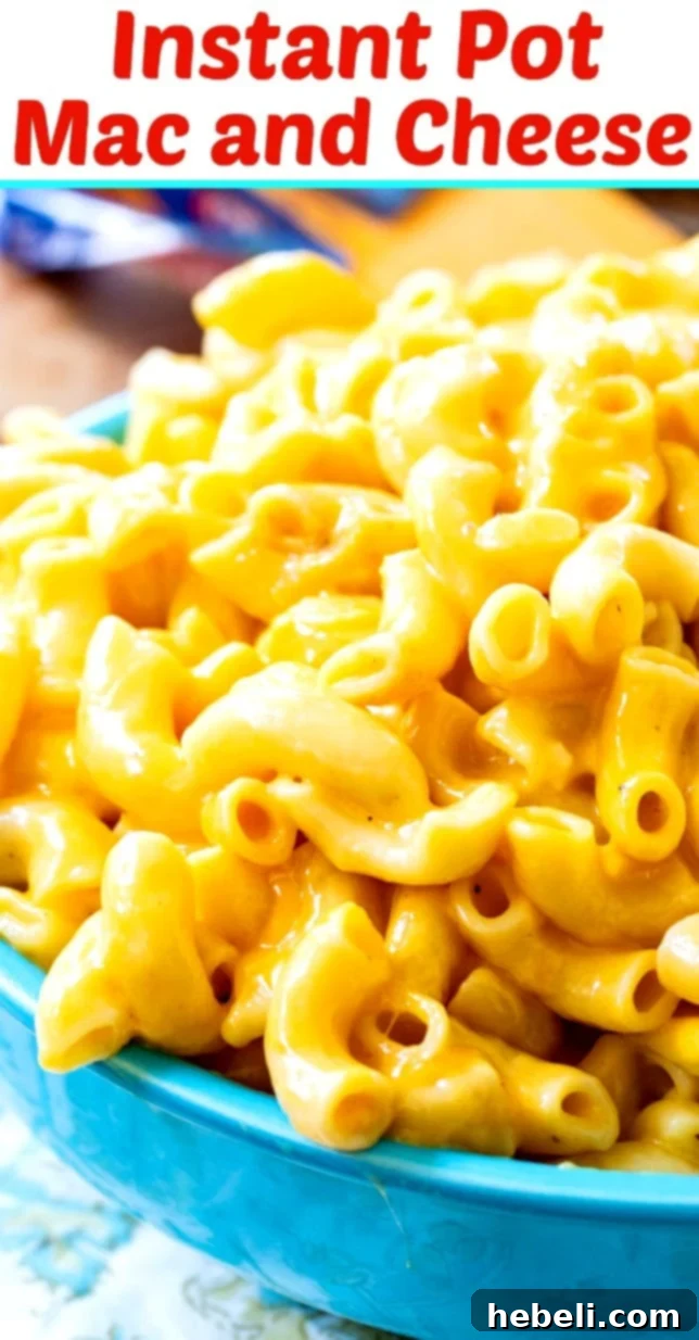 A final shot of the delectable Instant Pot Mac and Cheese, showcasing its rich, golden-brown hue.