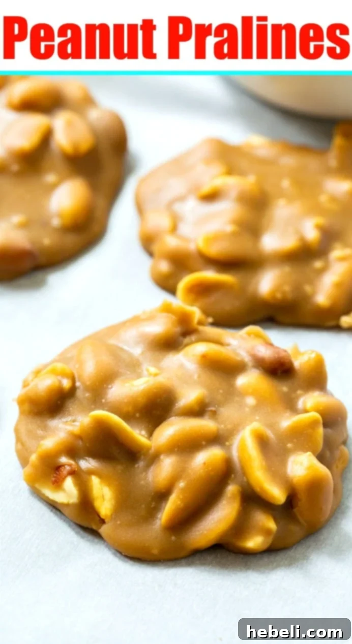 More Peanut Pralines artfully arranged, highlighting their sweet and salty appeal.