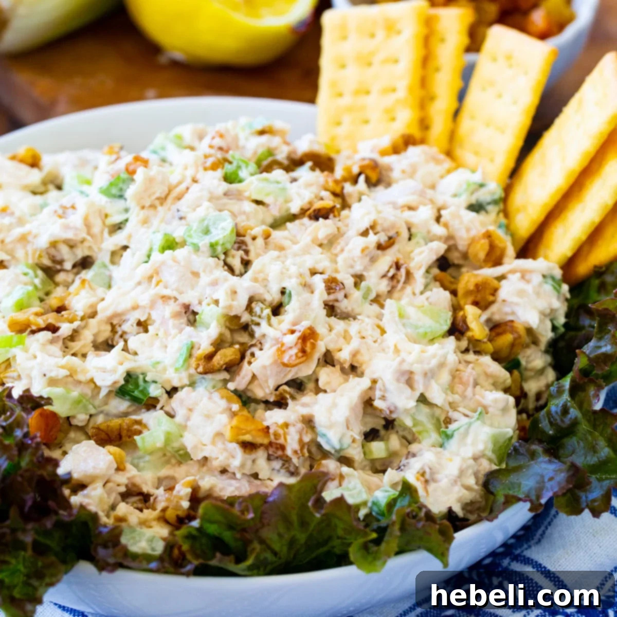 Golden Chicken Salad in a rustic bowl, garnished with fresh parsley, served with Club crackers on the side, highlighting its creamy texture.