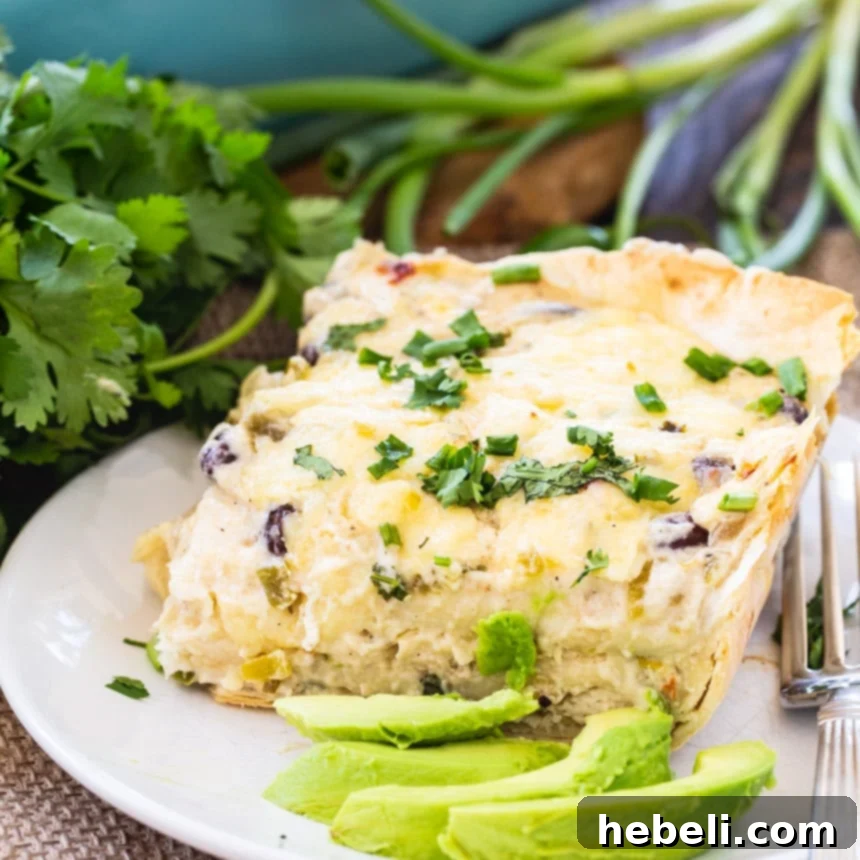 Creamy White Chicken Enchilada Bake 2 White Chicken Enchilada Casserole - a delicious creamy chicken dish