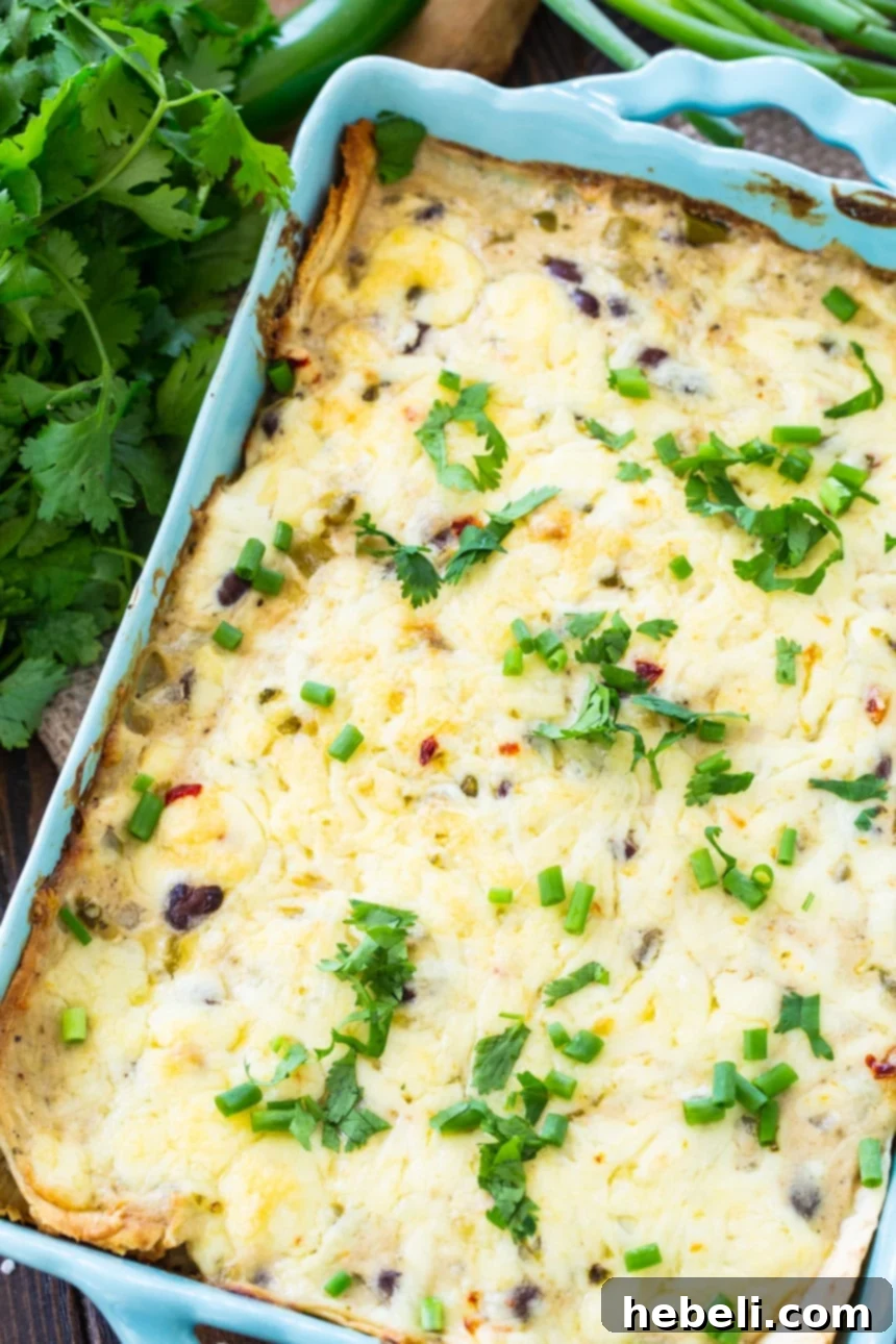 Creamy White Chicken Enchilada Bake 3 Creamy White Chicken Enchilada Casserole with layers