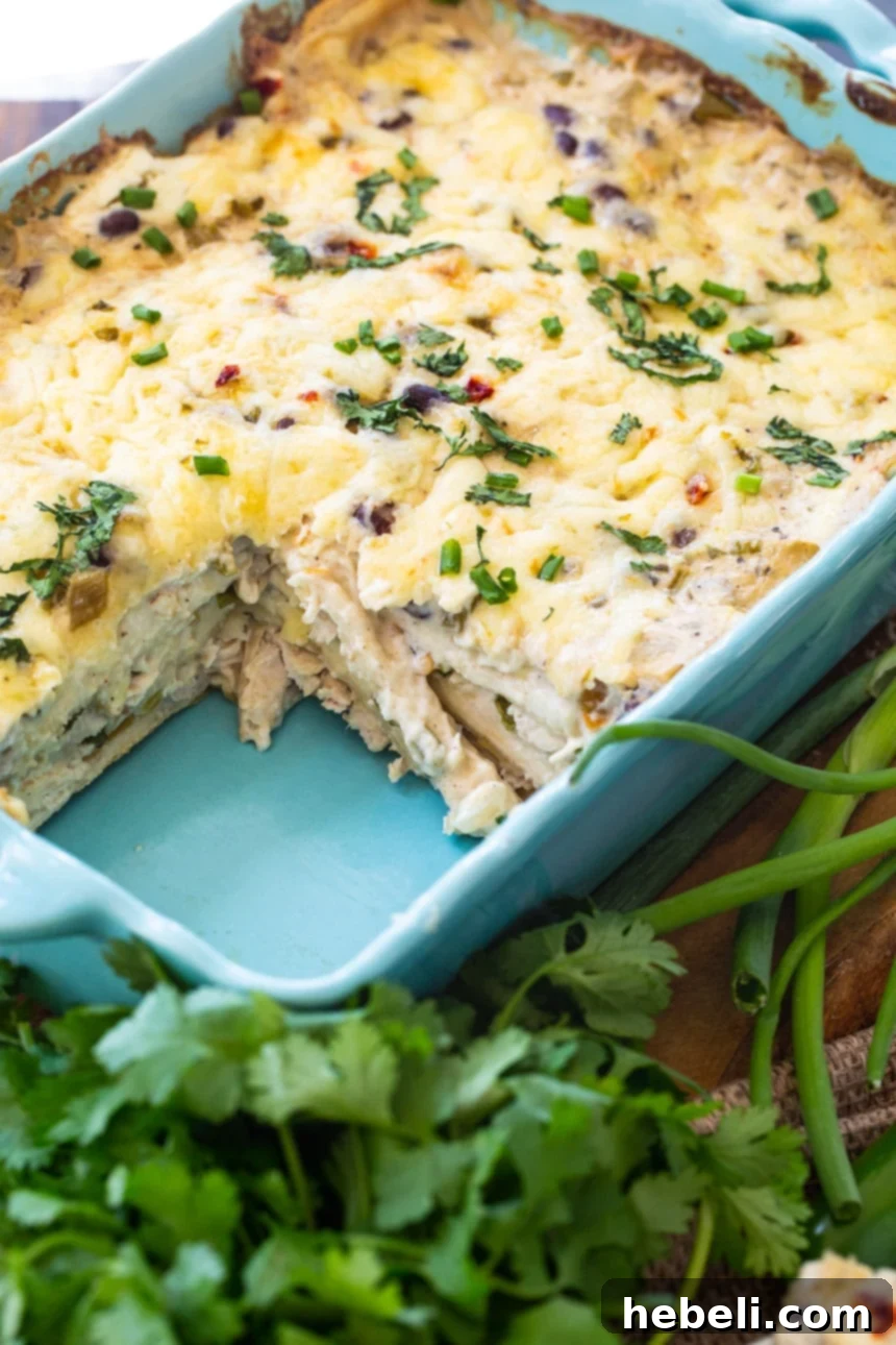 Creamy White Chicken Enchilada Bake 5 White Chicken Enchilada Casserole, close up