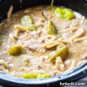 Mississippi Chicken and Noodles in crock pot