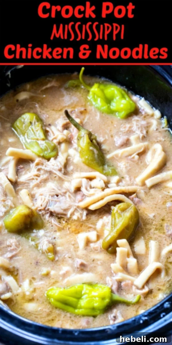 Serving of Easy Crock Pot Mississippi Chicken and Noodles in a rustic bowl.