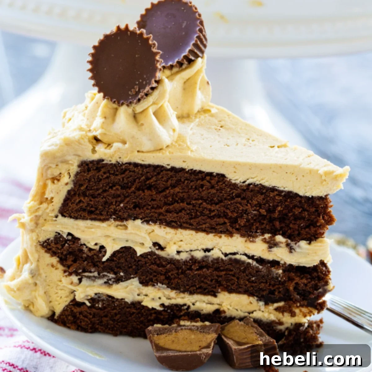Decadent Peanut Butter Cup Cake 2 A perfectly sliced piece of Peanut Butter Cup Cake showcasing its moist chocolate layers and creamy peanut butter frosting, topped with two mini peanut butter cups.