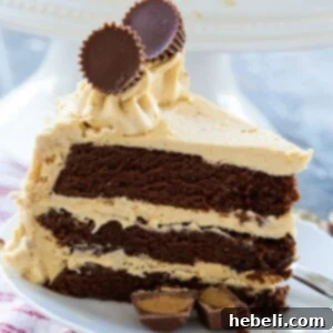 Peanut Butter Cup Cake