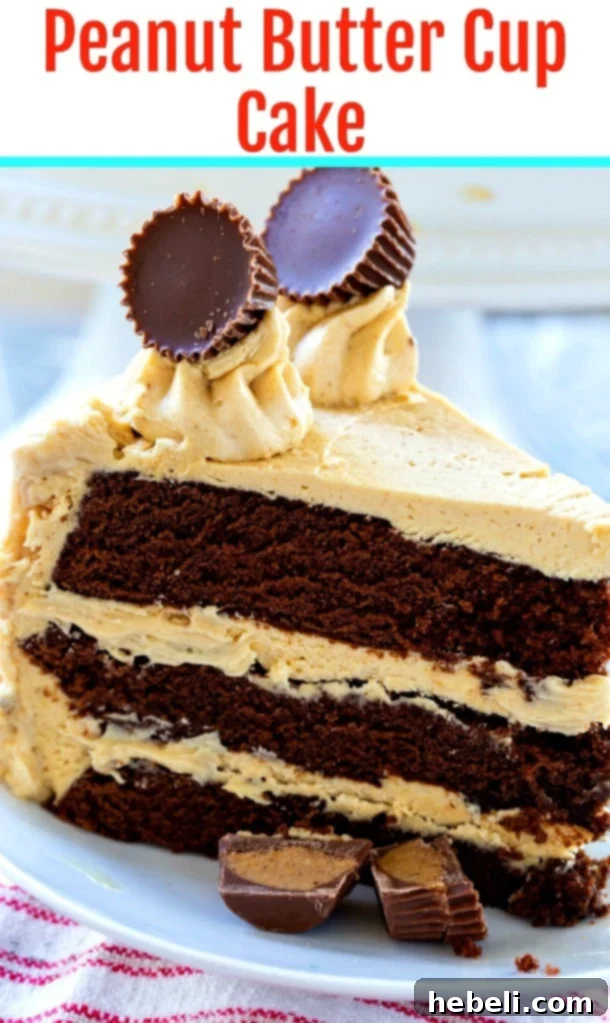Decadent Peanut Butter Cup Cake 6 A stunning full view of the Peanut Butter Cup Cake, featuring its rich chocolate cake layers perfectly complemented by luscious peanut butter frosting, ready for any occasion.