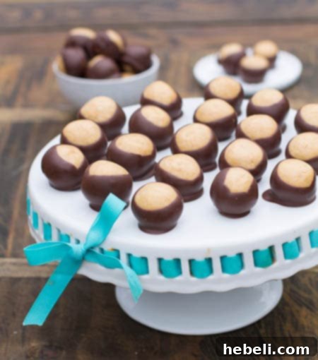 Buckeye Balls, a classic chocolate and peanut butter no-bake candy for holidays.