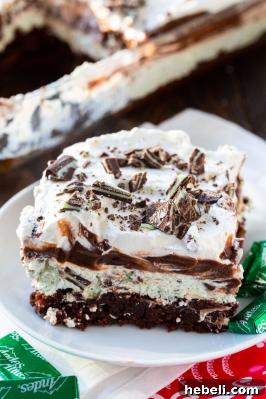 Andes Mint Lush, showcasing its smooth chocolate pudding and whipped topping.