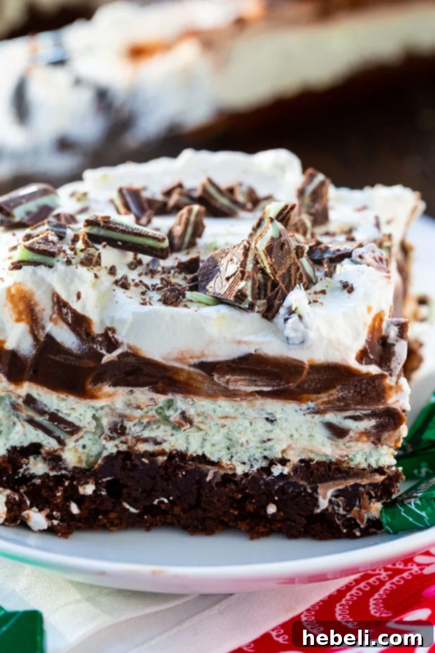 Close-up of the Andes Mint Lush topping, with generous sprinkles of chopped Andes mints.