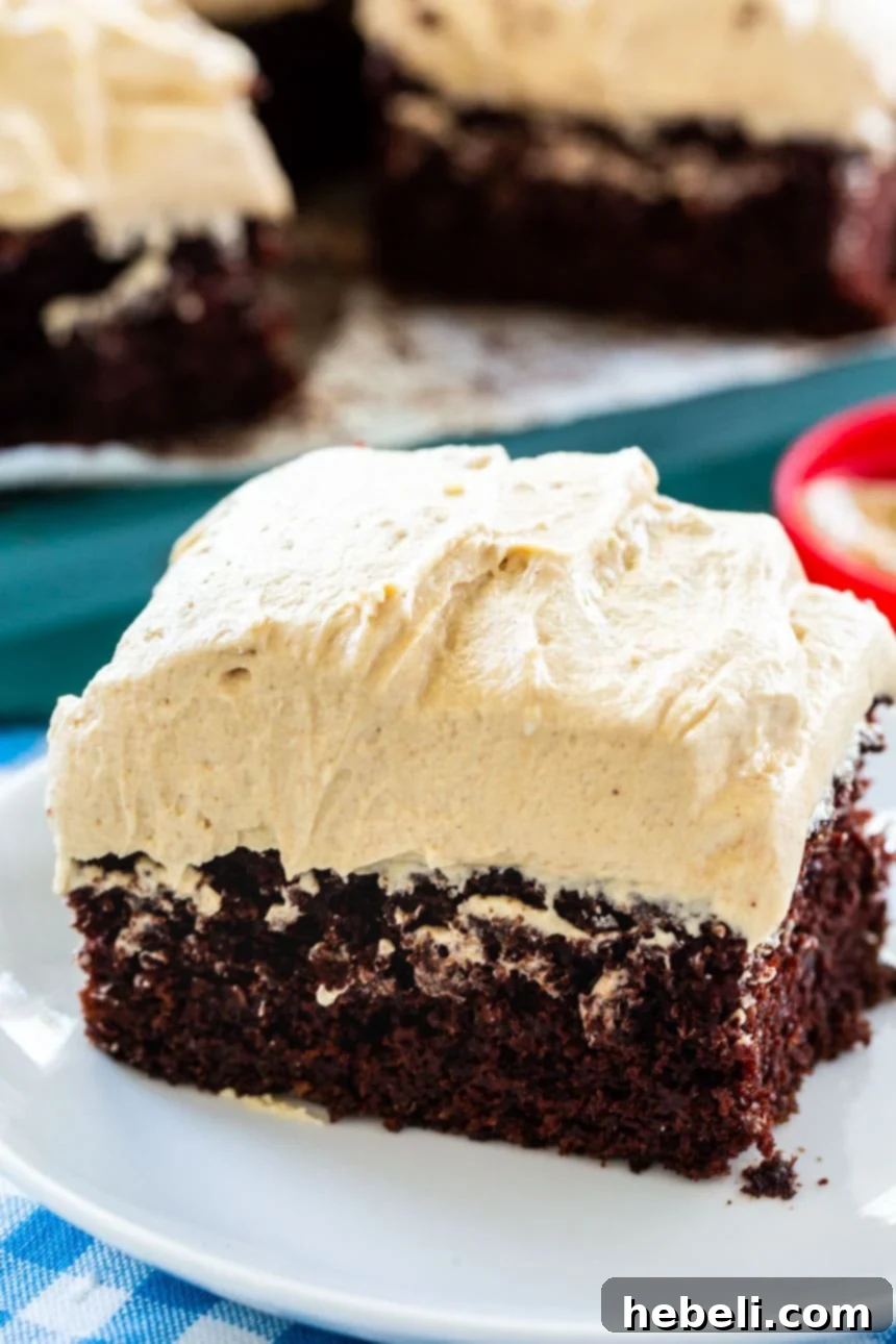 Ultimate Chocolate Peanut Butter Sheet Cake 3 A close-up shot of the chocolate sheet cake generously topped with an abundant, swirling layer of light and creamy peanut butter frosting.
