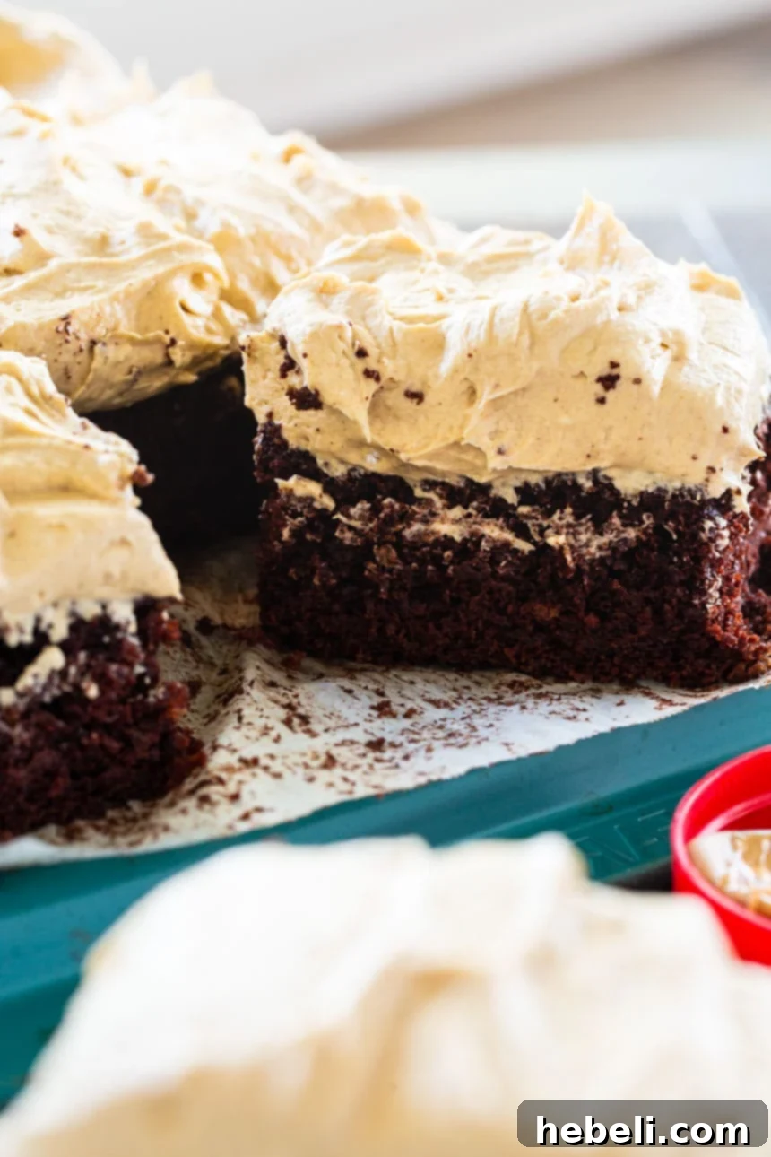 Ultimate Chocolate Peanut Butter Sheet Cake 4 An overhead shot of the full chocolate sheet cake with a smooth, thick layer of fluffy peanut butter frosting, ready for slicing.
