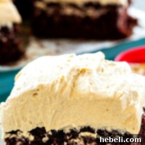 Chocolate Cake with Peanut Butter Icing