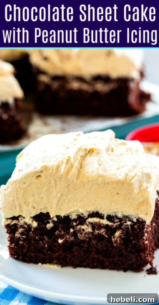 Ultimate Chocolate Peanut Butter Sheet Cake 6 A top-down shot of a slice of the Chocolate Sheet Cake with Peanut Butter Icing on a white plate, highlighting its rich layers.