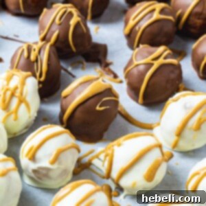 Nutterly Delicious Truffle Bites 5 Nutter Butter Truffles coated in white and milk chocolate, elegantly drizzled with peanut butter.