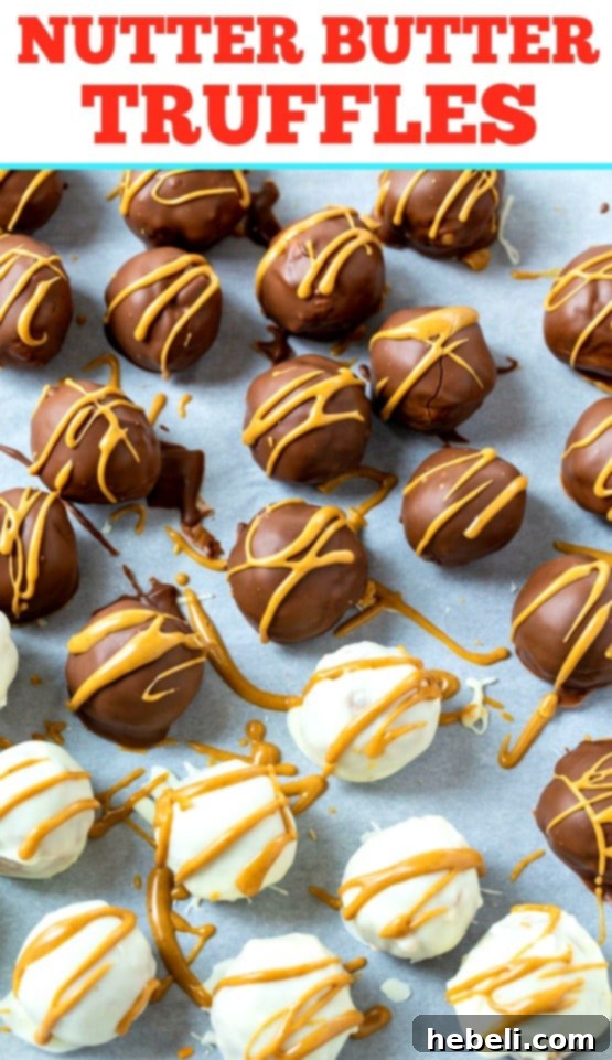 Nutterly Delicious Truffle Bites 6 A delicious Nutter Butter Truffle, perfectly coated and ready to be enjoyed, highlighting its simple, yet elegant design.