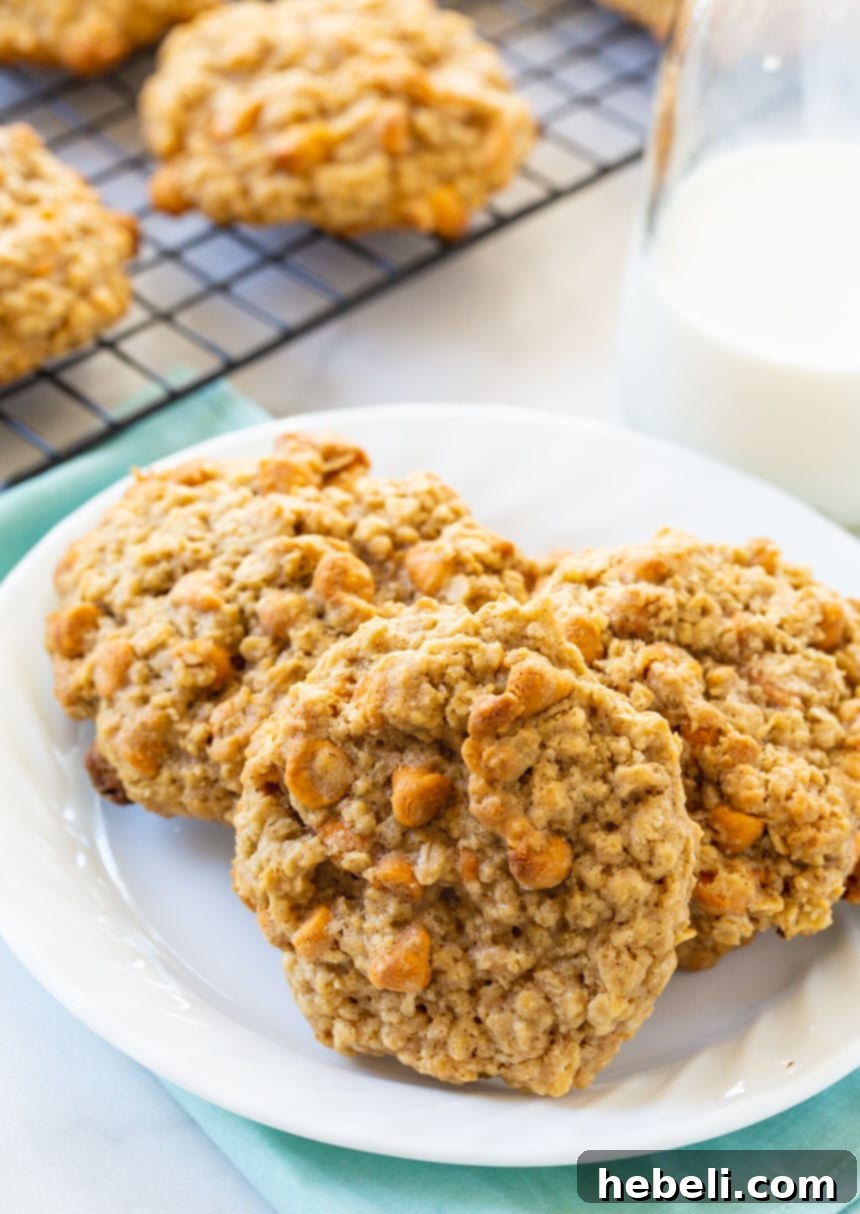 A close-up shot of two Oatmeal Butterscotch Cookies, one broken in half to show the soft, chewy interior with visible oats and butterscotch chips.