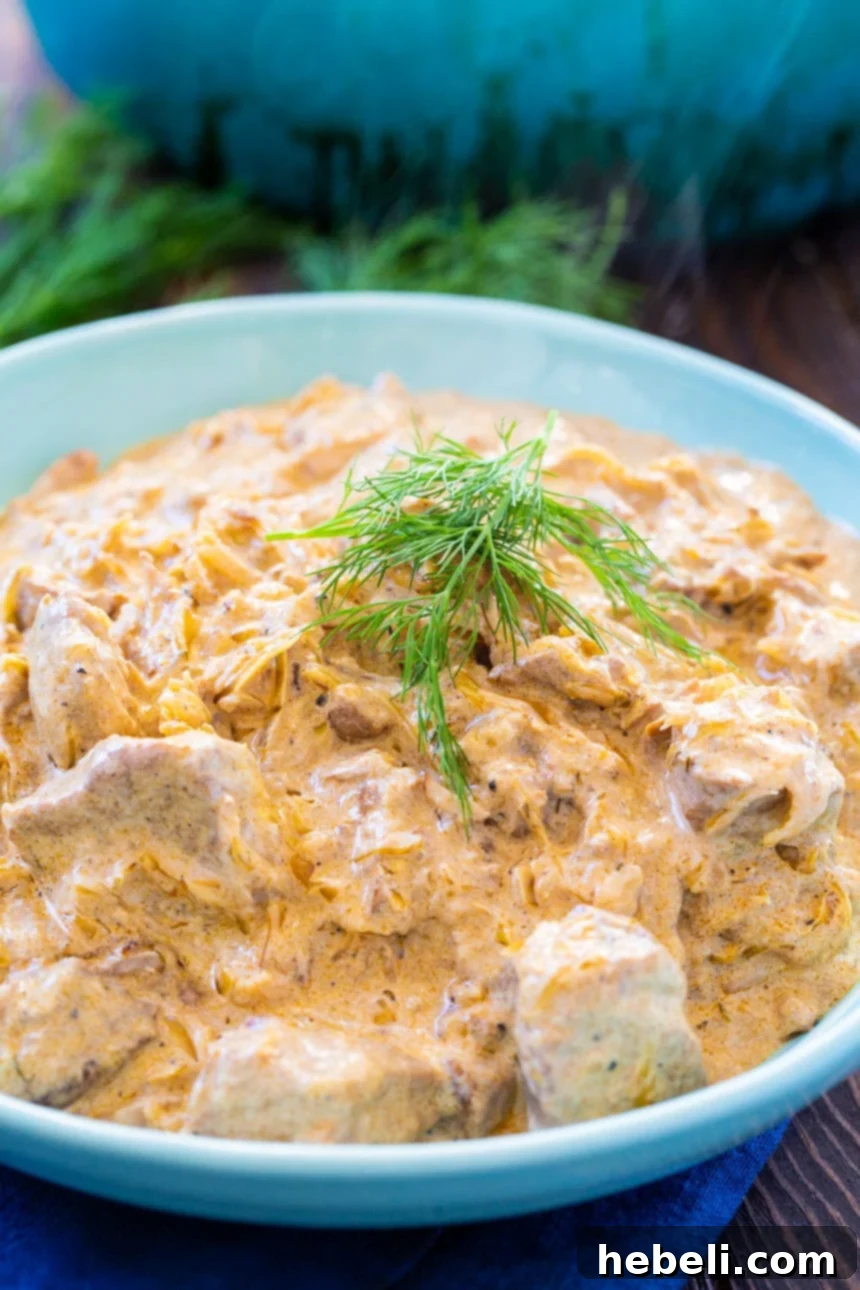Hungarian Pork Goulash 4 Close-up of Hungarian Pork Stew in a blue bowl, garnished with fresh dill.