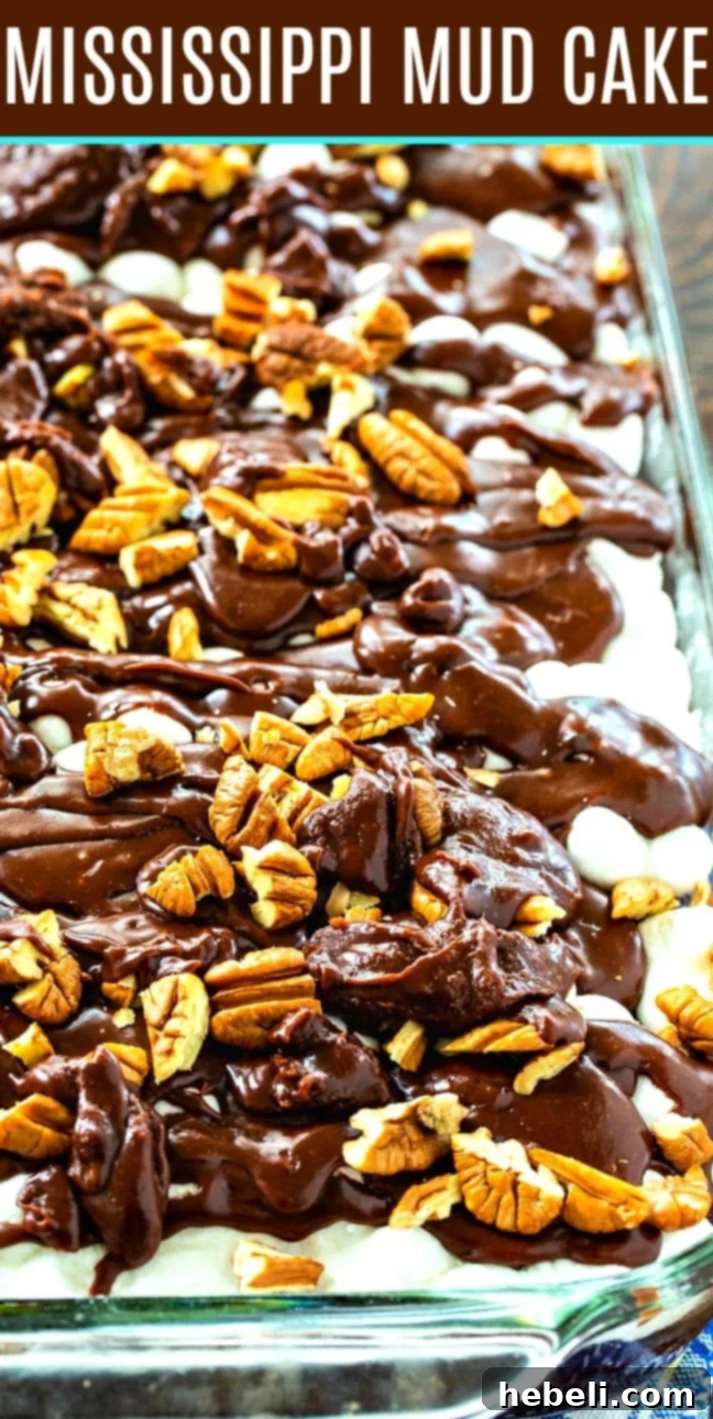 An appetizing close-up of a square slice of Southern Mississippi Mud Cake, highlighting the layers of moist chocolate cake, perfectly melted marshmallows, and rich, fudgy icing, with crunchy pecans on top.