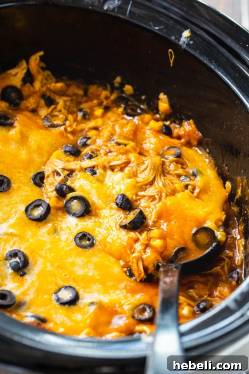 Easy Slow Cooker Chicken Enchilada Casserole 3 Easy Crock Pot Chicken Enchilada Casserole – A vibrant and hearty meal with minimal effort.