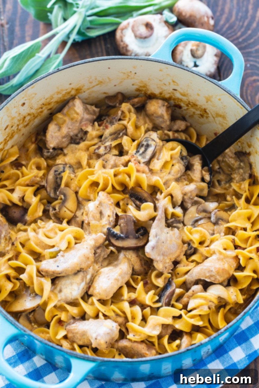 Pork Stroganoff with egg noodles simmering in a Dutch oven, ready to be finished.