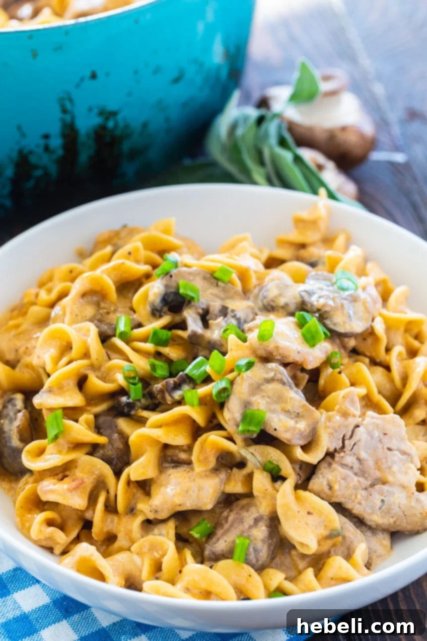 A serving of homemade Pork Stroganoff in a white bowl, showcasing the rich sauce and egg noodles.