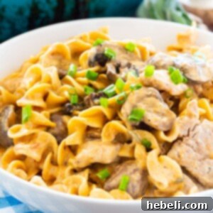 A delicious bowl full of homemade Pork Stroganoff, showing off its creamy sauce and noodles.