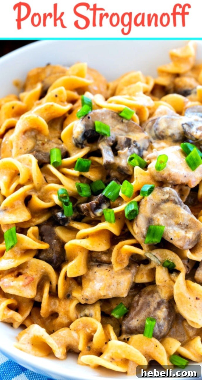 Close-up of creamy Pork Stroganoff with egg noodles, garnished with fresh chives in a white bowl.
