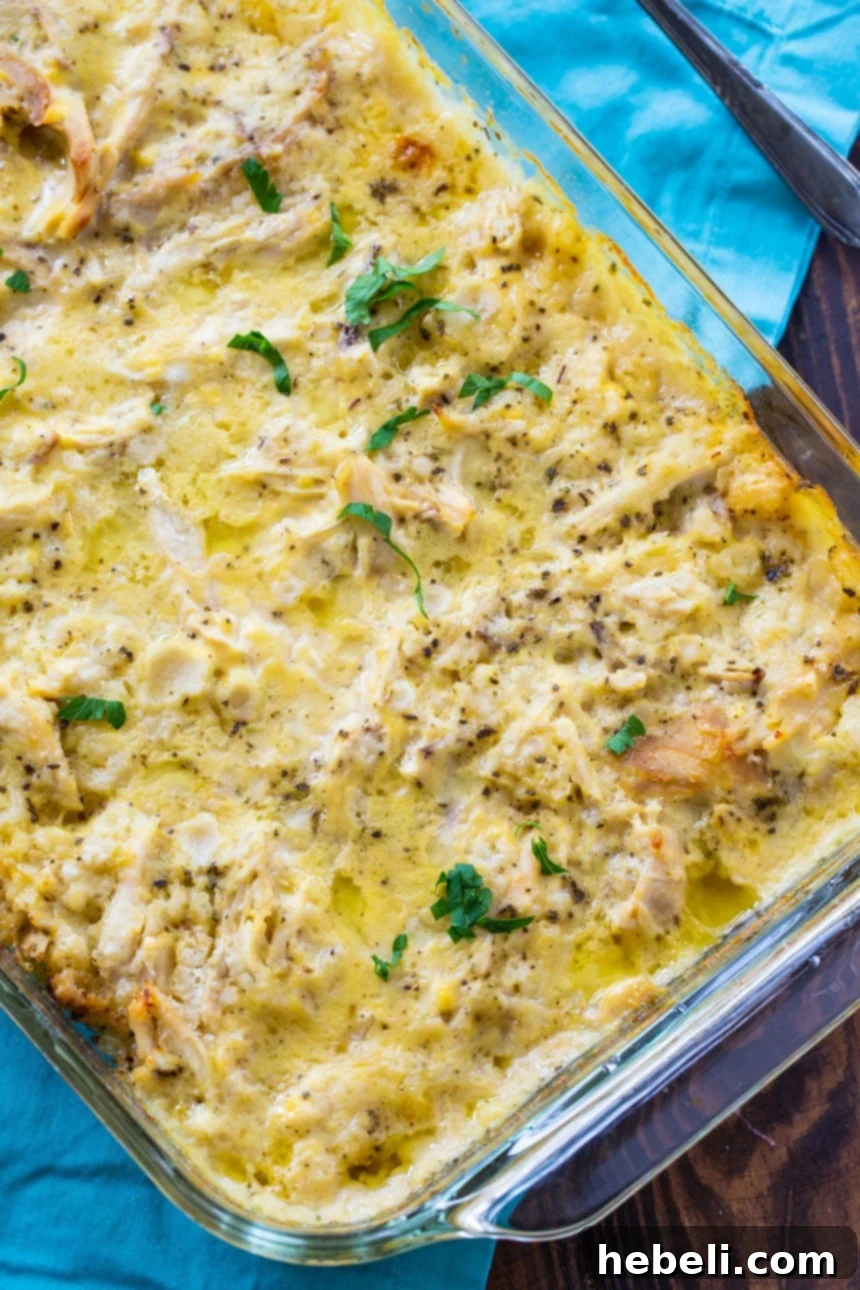 Close-up of the creamy, golden Chicken and Dumpling Casserole showing its rich texture.