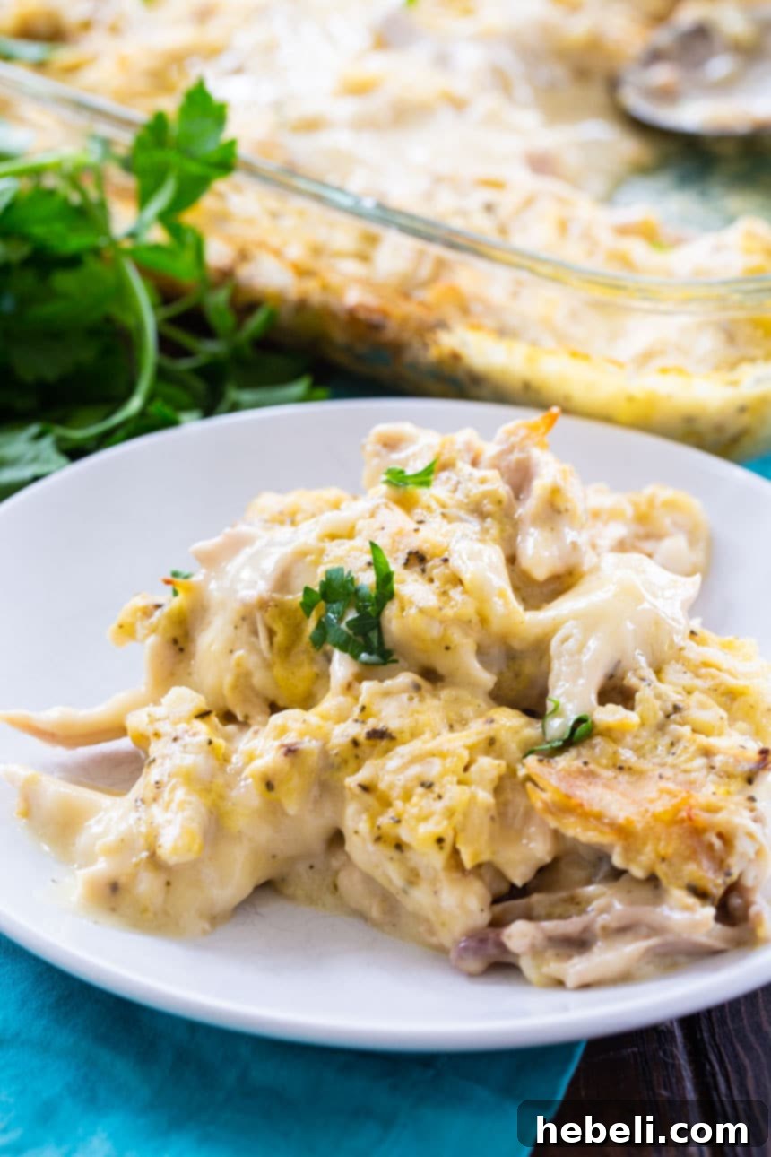 The finished Chicken and Dumpling Casserole, garnished with fresh herbs, ready to be served.