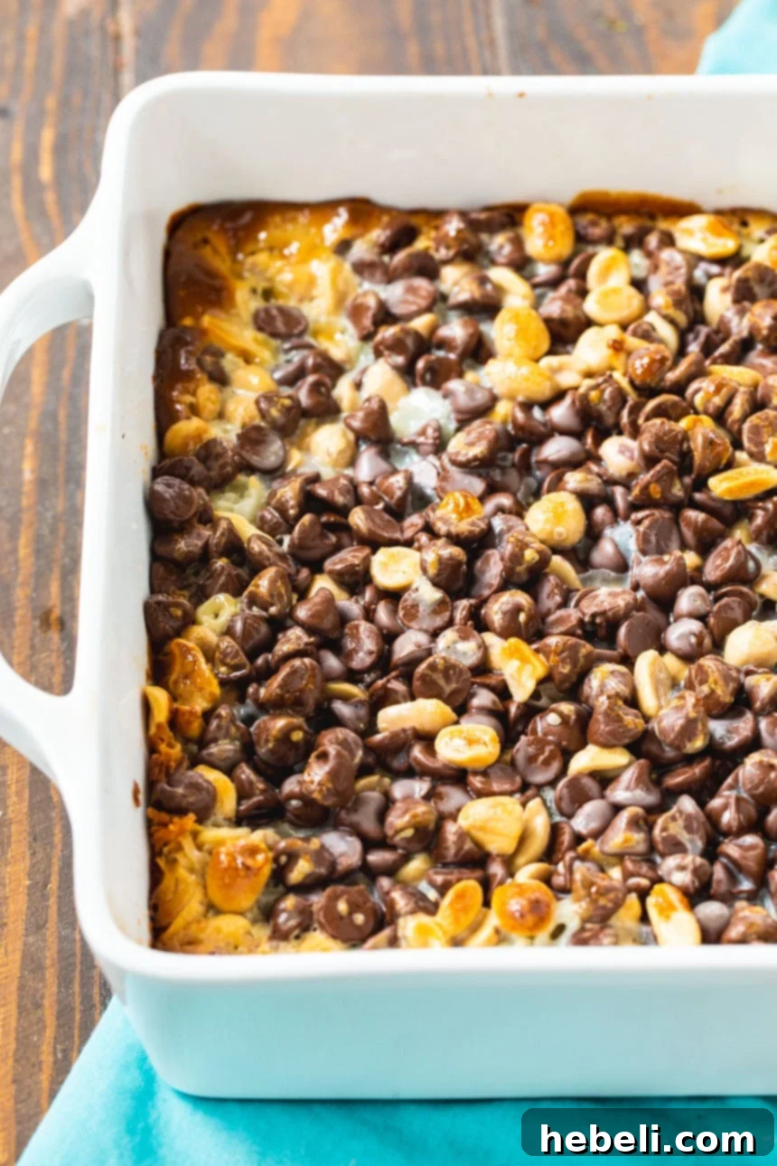 Peanut Butter Chocolate Graham Squares 3 Close-up of Chocolate and Peanut Graham Bars showing the rich coconut layer and other toppings.