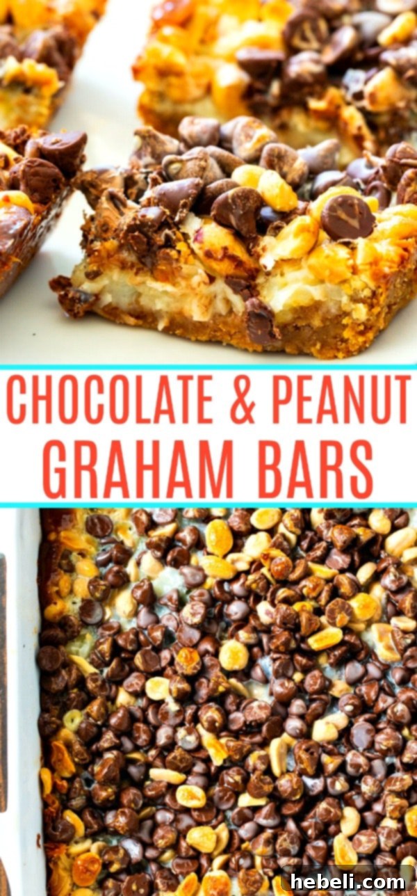 Peanut Butter Chocolate Graham Squares 6 A close-up shot of a single Chocolate and Peanut Graham Bar, highlighting its layers and texture.