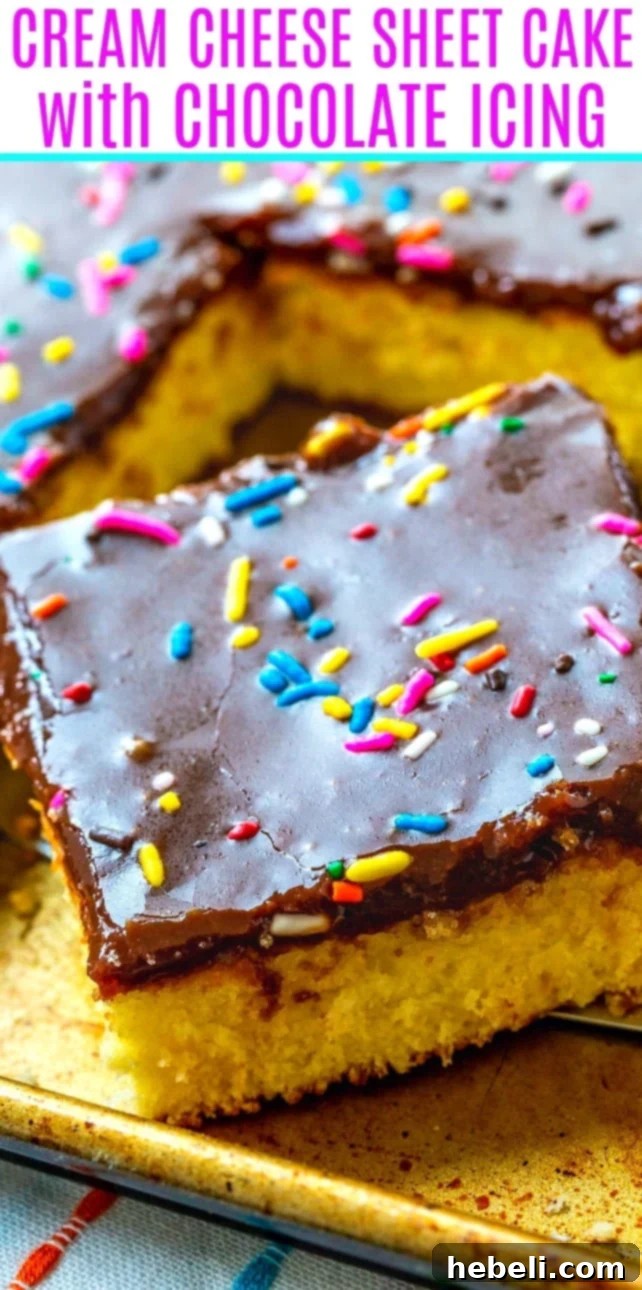 Close-up of a perfectly iced Cream Cheese Sheet Cake, showcasing its rich texture and decadent chocolate frosting.